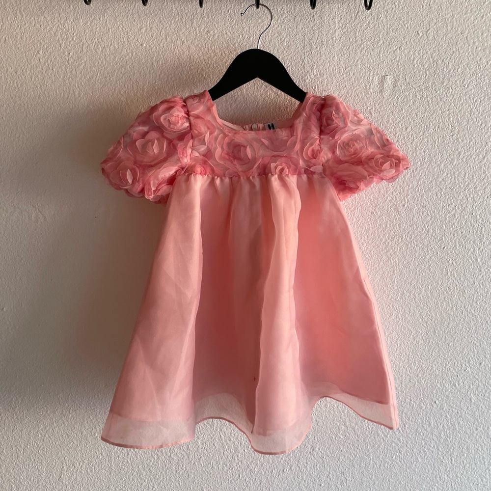 Pink Floral Rose Organza Baby/Toddler Dress
